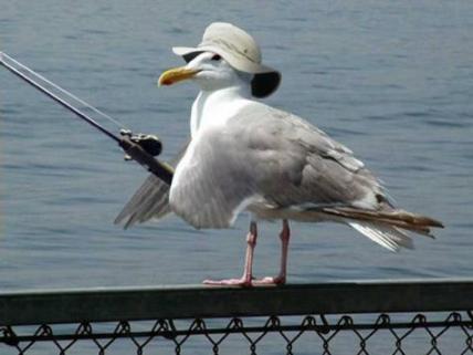 early bird catches worm