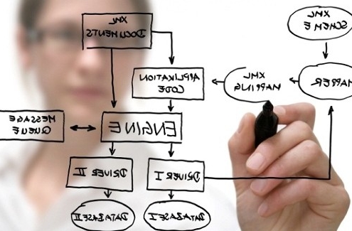 software developer