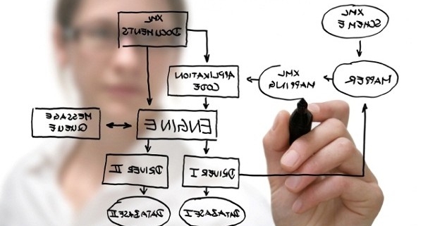 software developer